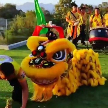Lion Dance at Ambong Pool Villas | Top 10 Hotels in Langkawi |