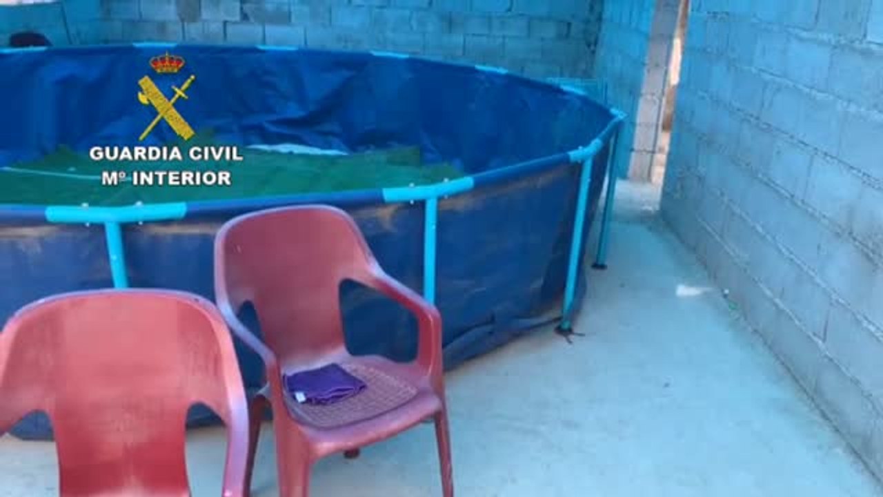 La Guardia Civil frusta una pelea de gallos clandestina con 16 asistentes en Almería