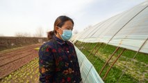 Chinese farmers see livelihoods threatened by coronavirus pandemic and related economic slump