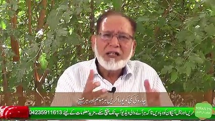 Animal Food Security- How to make silage - Silage Crops سائیلج تمام فصلوں سے تیا_HIGH