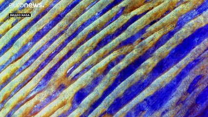 Земля - наш общий дом