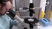 Alemanha iniciará testes clínicos de vacina contra Covid-1