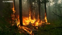 Feuer verbrennen Tausende Hektar Wald in Russland