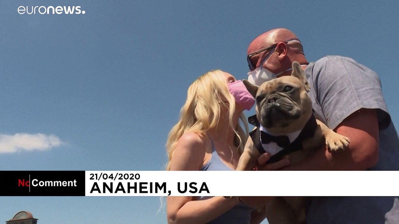 Holzkabuff und Mundschutz: So heiratet man in Coronazeiten in Kalifornien