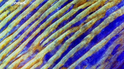 Journée de la Terre : l'heure de l'urgence