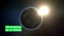 Así será la celebración digital del Día Mundial de la Tierra