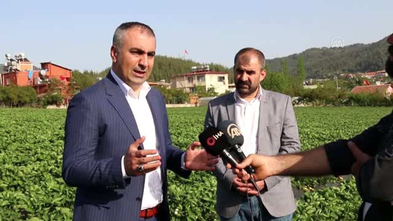 MHP Hatay Milletvekili Kaşıkçı: "Türkiye, Bayırbucak Türkmenlerinin ata toprağıdır"