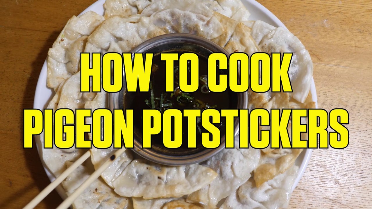 How to Cook Pigeon Potstickers