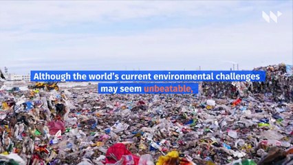 7 Easy Changes to Make Your Home More Eco-Friendly