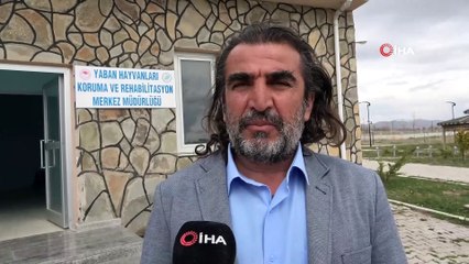 Profesörden yılanlardan korunma yöntemleri