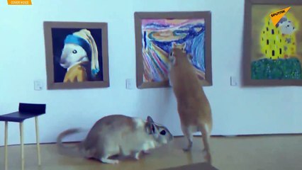 Karantina altındaki çift, kemirgen evcil hayvanları için ‘mini sanat galerisi’ yaptı