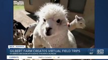 Gilbert farm creates virtual field trips