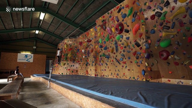 Lala the climbing kitty becomes a viral sensation
