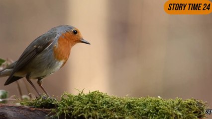 दिल को छु जाने वाली मशहूर कहानी | Motivational Hindi Story | New Story | Emotional Story | 2020 |