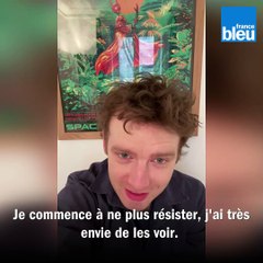Confinement : le jour d'après de... Antoine Reinartz, acteur