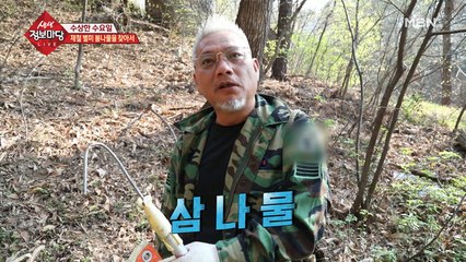 제철 별미 봄나물을 찾아서!