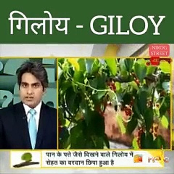 DNA about uses of giloy