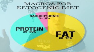 Ultra Running: Using both Fat  &  Glycogen energy systems