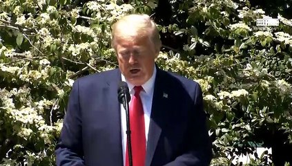 Trump anuncia la reapertura de los parques nacionales