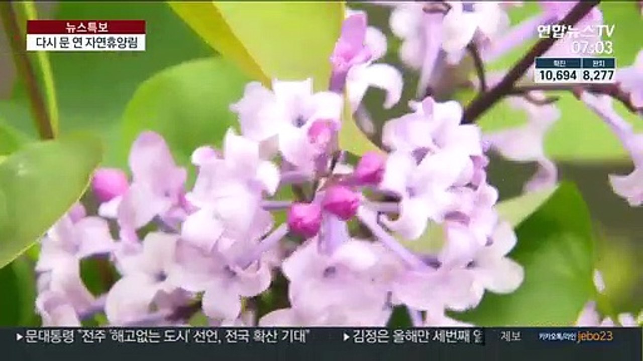 사회적 거리두기 완화로 전국 국립자연휴양림 재개장