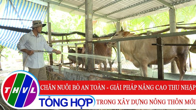 Nông thôn ngày nay: Chăn nuôi bò an toàn - giải pháp nâng cao thu nhập trong xây dựng nông thôn mới