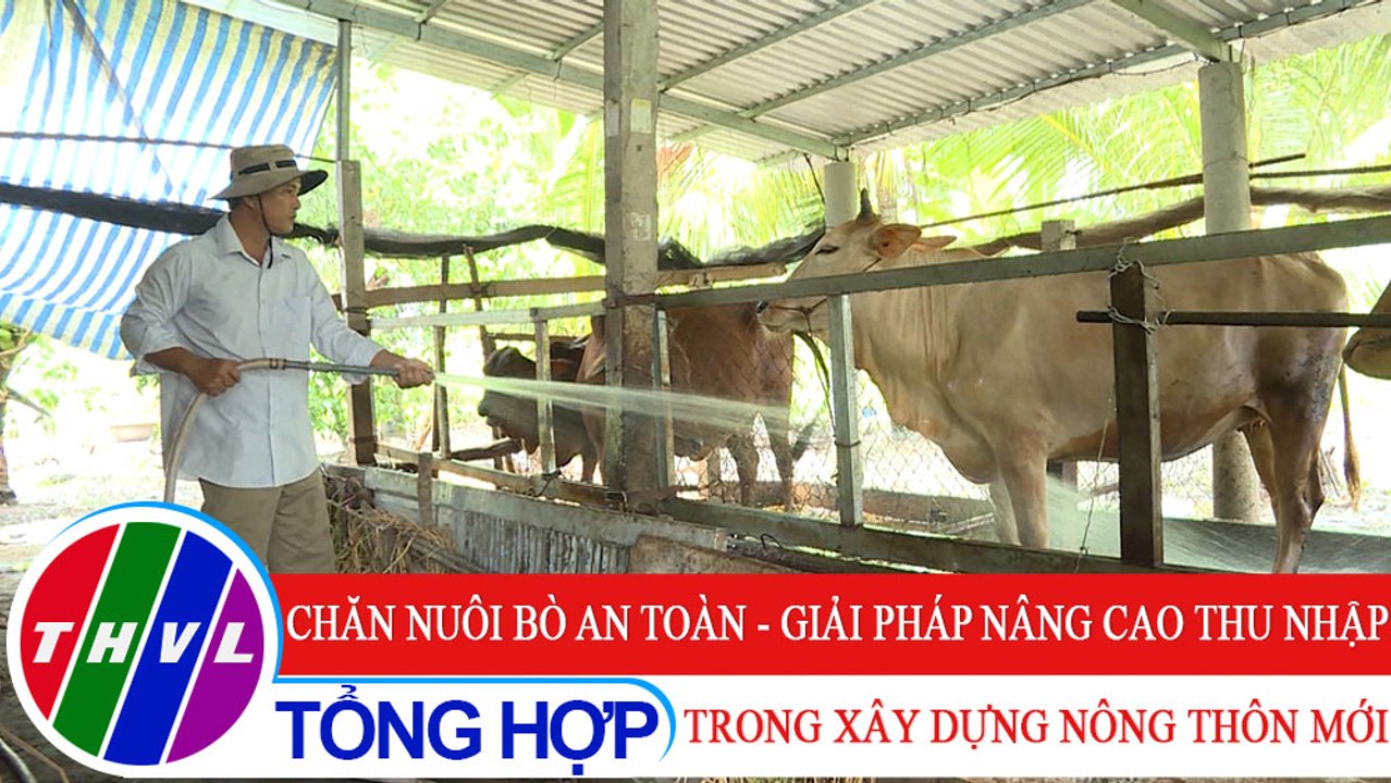Nông thôn ngày nay: Chăn nuôi bò an toàn - giải pháp nâng cao thu nhập trong xây dựng nông thôn mới