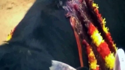 Muerte lenta de Gaia