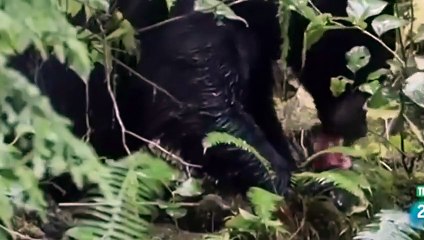 명동출장ㅁㅏ ㅅㅏ ㅈㅣ ▒후불제▒ 070p4238p3834 {카톡TT6889} ' 20대' 명동출장마사지럭셔리 출장@마사지 ♥∾≪