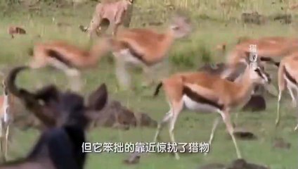 논산출장안ㅁㅏ ▒후불제▒ www.deluwa1.com ▒ ' 20대' 논산출장안ㅁㅏ럭셔리 출장@안마 ♥◬≪