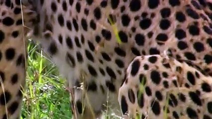 문막여대생만남 ☎O1OE2194E5939 {카톡RMB7} 문막출장마사지 문막출장마사지 ▩SNS성인만남♨30대애인 문막출장마사지 ♥◤≪