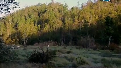 의정부출장ㅁㅏ ㅅㅏ ㅈㅣ ▒후불제▒ 010E6683E6402 {카톡EKE5} ' 20대' 의정부출장마사지럭셔리 출장@마사지 ♥≀≪