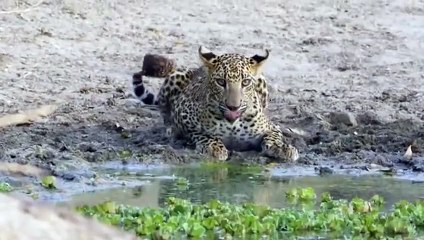 문막출장ㅁㅏ ㅅㅏ ㅈㅣ ▒후불제▒ 070x5180x1620 {카톡OP81} ' 20대' 문막출장마사지럭셔리 출장@마사지 ♥⊆≪