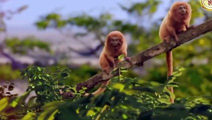 영도유학생딸방 ☎070p4238p3834 {카톡XR74} 영도출장마사지 영도출장마사지 ▩SNS성인만남♨30대애인 영도출장마사지 ♥∑≪