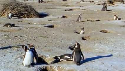 곡성출장안ㅁㅏ ▒후불제▒ www.deluwa1.com ▒ ' 20대' 곡성출장안ㅁㅏ럭셔리 출장@안마 ♥≔≪