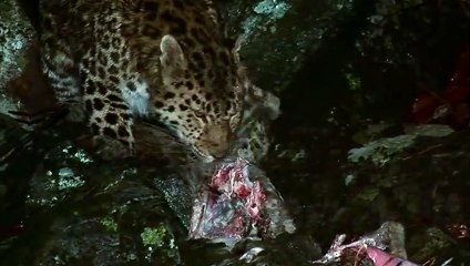 070p7620p1146 {카톡UT6728} 영도출장안마☎영도출장안마∩24시환영▨영도출장안마●영도출장안마 영도홈타이 ♥∪≪