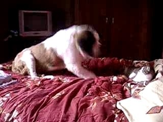 Allez, soit gentil, laisse moi la place