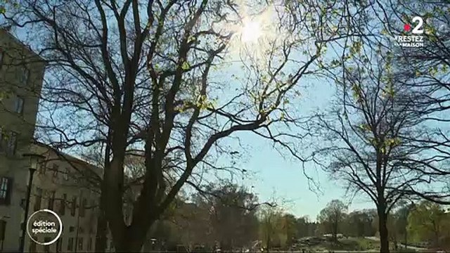 Coronavirus - La Suède qui a refusé le confinement obligatoire enregistre moins de morts qu'en France... Et si la stratégie de l’immunité collective était en réalité la bonne ?