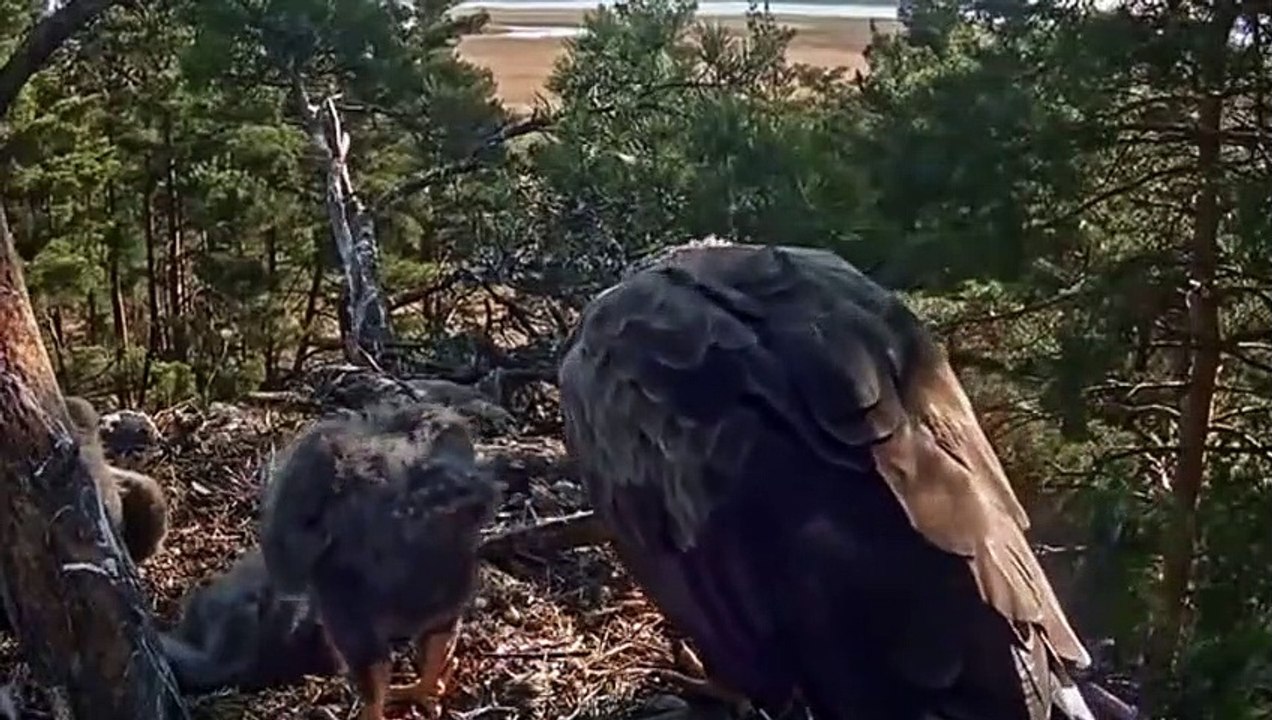 안성출장ㅁㅏ ㅅㅏ ㅈㅣ ▒후불제▒ 070p7722p8235 {카톡SN92} ' 20대' 안성출장마사지럭셔리 출장@마사지 ♥∠≪