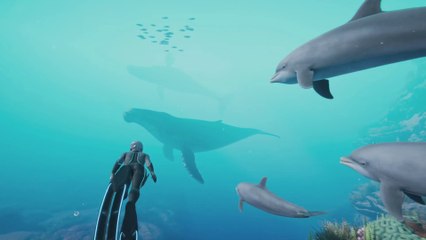 Beyond Blue - Bande-annonce de gameplay et date de sortie