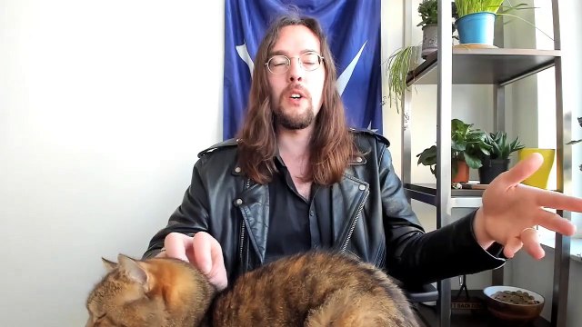 Newsweek Unironically Compares Coronavirus Deaths Between Two FOX Viewer Bases