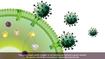 Coronavirus: Decoding COVID-19 Pandemic, What Measures You Should Take?