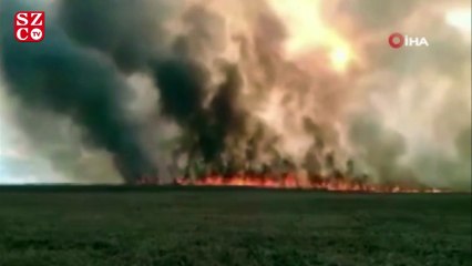 Polonya'nın en büyük milli parkı yanıyor