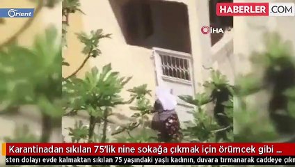 مثل رجل العنكبوت.. سبعينية تركية تتسلق الجدران لكسر الحجر المنزلي والتسلل إلى الخارج