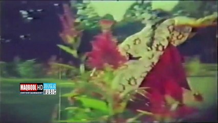 saima+ghulam mohiddin-paranada be sabra