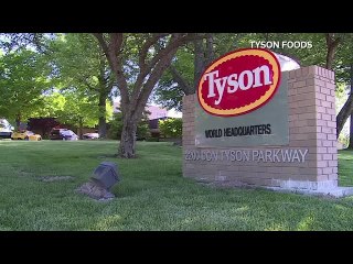 Tyson Foods to indefinitely stop production at largest pork plant - Business