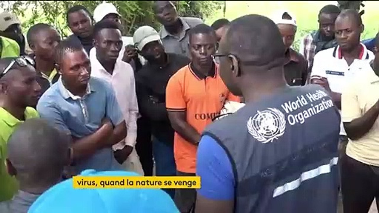 Coronavirus, peste ou sida sont transmis par les animaux à cause des hommes