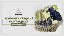 Kakkaku ThanKunj PonKunj | Malayalam Proverbs | Avenir technology