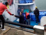Identificadas 14 personas en Isla Cristina cuando hacían barbacoa en barco