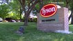 Tyson Foods to indefinitely stop production at largest pork plant - Business