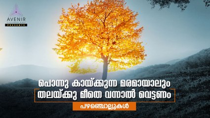 Ponnu Kaaykkunna Maramayalum Thalakku Meethe Vannal Vettanam |  Malayalam Proverbs